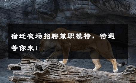 宿迁夜场招聘兼职模特，待遇等你来！