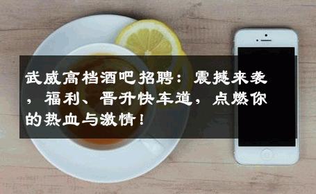 武威高档酒吧招聘：震撼来袭，福利、晋升快车道，点燃你的热血与激情！
