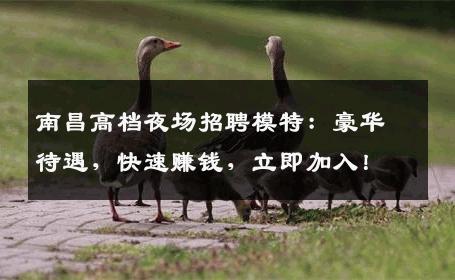 南昌高档夜场招聘模特：豪华待遇，快速赚钱，立即加入！