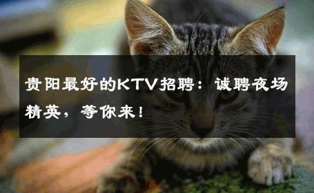 贵阳最好的KTV招聘：诚聘夜场精英，等你来！