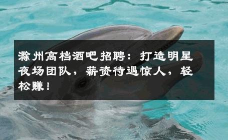滁州高档酒吧招聘：打造明星夜场团队，薪资待遇惊人，轻松赚！