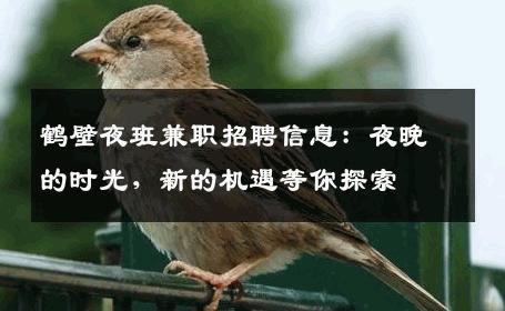 鹤壁夜班兼职招聘信息：夜晚的时光，新的机遇等你探索