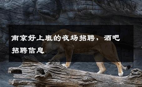 南京好上班的夜场招聘，酒吧招聘信息