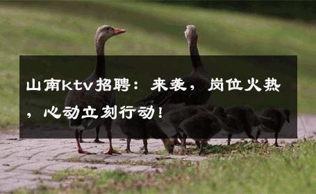 山南ktv招聘：来袭，岗位火热，心动立刻行动！