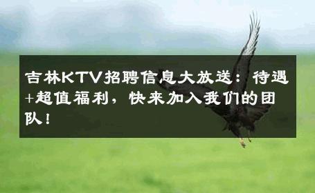 吉林KTV招聘信息大放送：待遇+超值福利，快来加入我们的团队！