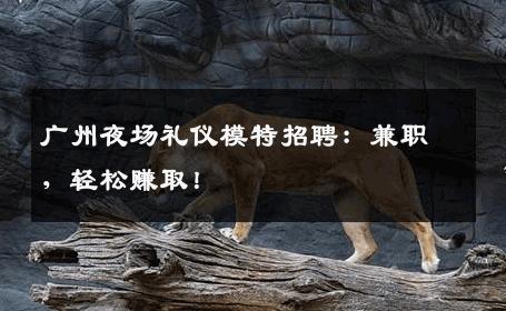 广州夜场礼仪模特招聘：兼职，轻松赚取！