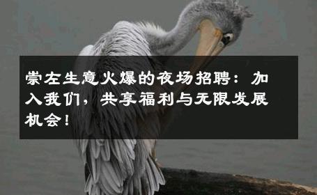崇左生意火爆的夜场招聘：加入我们，共享福利与无限发展机会！