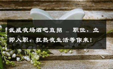 武威夜场酒吧直招 _ 职位，立即入职，狂热夜生活等你来！