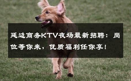 延边商务KTV夜场最新招聘：岗位等你来，优质福利任你享！