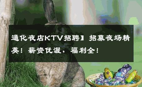 通化夜店KTV招聘】招募夜场精英！薪资优渥，福利全！