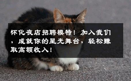 怀化夜店招聘模特！加入我们，成就你的星光舞台，轻松赚取高额收入！