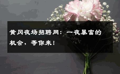 黄冈夜场招聘网：一夜暴富的机会，等你来！