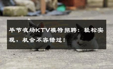 毕节夜场KTV模特招聘：轻松实现，机会不容错过！