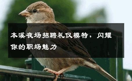 本溪夜场招聘礼仪模特，闪耀你的职场魅力