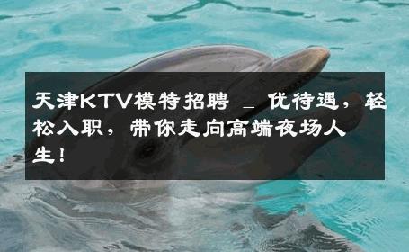 天津KTV模特招聘 _ 优待遇，轻松入职，带你走向高端夜场人生！