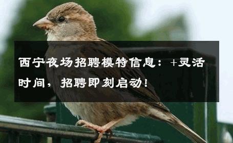 西宁夜场招聘模特信息：+灵活时间，招聘即刻启动！