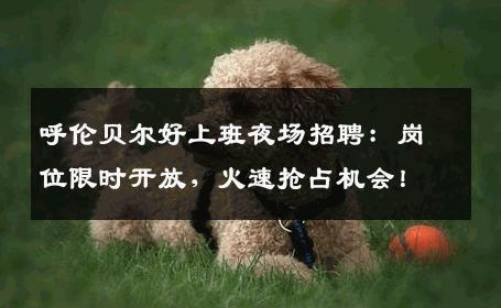 呼伦贝尔好上班夜场招聘：岗位限时开放，火速抢占机会！