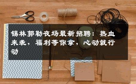 锡林郭勒夜场最新招聘：热血来袭，福利等你拿，心动就行动