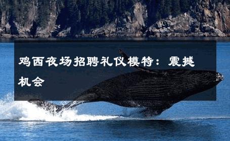 鸡西夜场招聘礼仪模特：震撼机会