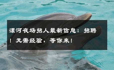 漯河夜场招人最新信息：招聘！无需经验，等你来！