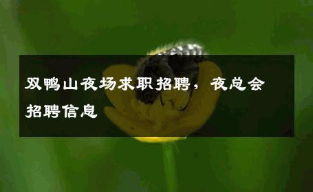 双鸭山夜场求职招聘，夜总会招聘信息