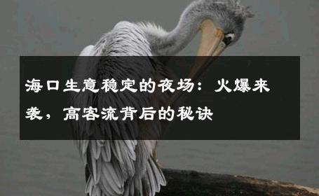 海口生意稳定的夜场：火爆来袭，高客流背后的秘诀