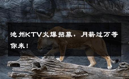 池州KTV火爆招募，月薪过万等你来！