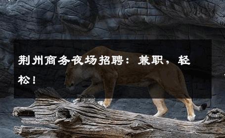 荆州商务夜场招聘：兼职，轻松！