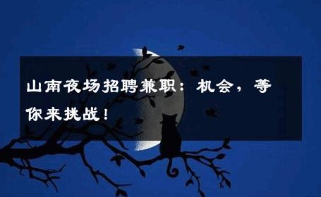 山南夜场招聘兼职：机会，等你来挑战！