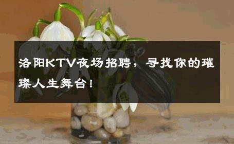 洛阳KTV夜场招聘，寻找你的璀璨人生舞台！