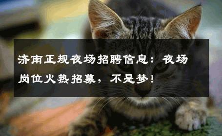 济南正规夜场招聘信息：夜场岗位火热招募，不是梦！
