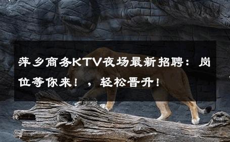 萍乡商务KTV夜场最新招聘：岗位等你来！，轻松晋升！