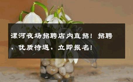 漯河夜场招聘店内直招！招聘，优质待遇，立即报名！