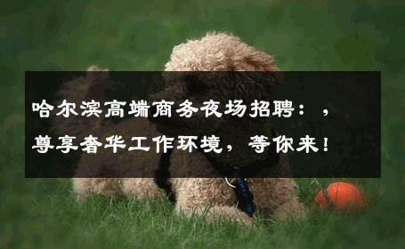 哈尔滨高端商务夜场招聘：，尊享奢华工作环境，等你来！