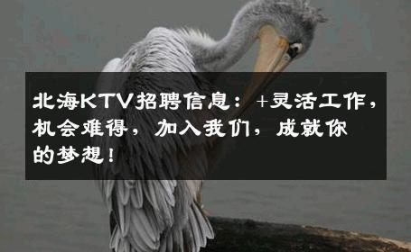 北海KTV招聘信息：+灵活工作，机会难得，加入我们，成就你的梦想！