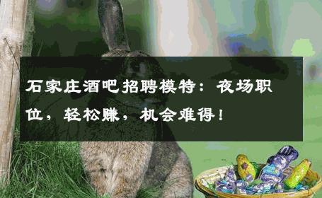 石家庄酒吧招聘模特：夜场职位，轻松赚，机会难得！