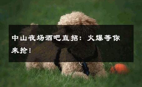 中山夜场酒吧直招：火爆等你来抢！