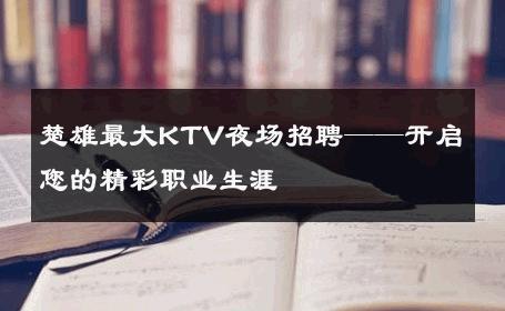 楚雄最大KTV夜场招聘——开启您的精彩职业生涯