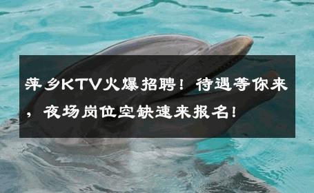 萍乡KTV火爆招聘！待遇等你来，夜场岗位空缺速来报名！