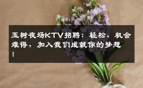 玉树夜场KTV招聘：轻松，机会难得，加入我们成就你的梦想！