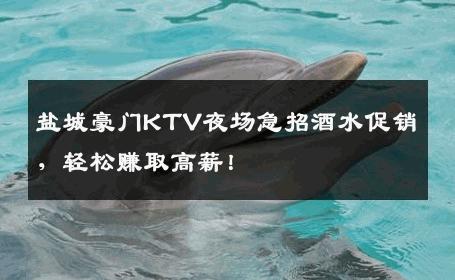 盐城豪门KTV夜场急招酒水促销，轻松赚取高薪！