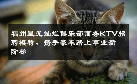 福州星光灿烂俱乐部商务KTV招聘模特，携手豪车踏上事业新阶梯