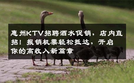 惠州KTV招聘酒水促销，店内直招！报销机票轻松抵达，开启你的高收入新篇章