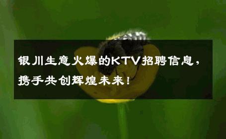 银川生意火爆的KTV招聘信息，携手共创辉煌未来！