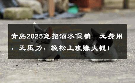 青岛2025急招酒水促销—无费用，无压力，轻松上班赚大钱！