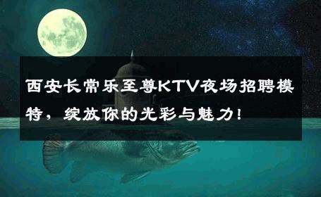 西安长常乐至尊KTV夜场招聘模特，绽放你的光彩与魅力！