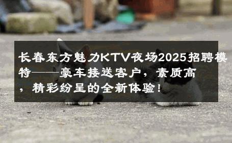 长春东方魅力KTV夜场2025招聘模特——豪车接送客户，素质高，精彩纷呈的全新体验！