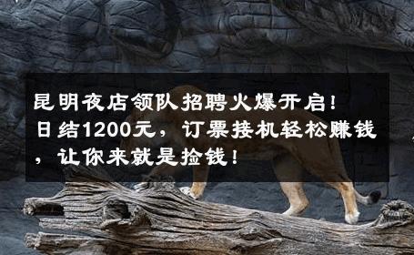 昆明夜店领队招聘火爆开启！日结1200元，订票接机轻松赚钱，让你来就是捡钱！