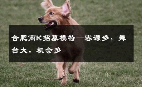 合肥商K招募模特—客源多，舞台大，机会多