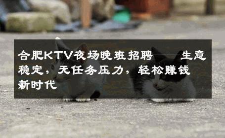 合肥KTV夜场晚班招聘——生意稳定，无任务压力，轻松赚钱新时代